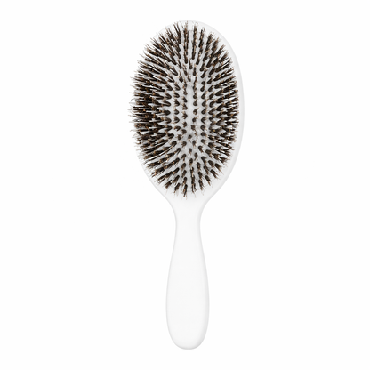 Allora Shine Brush