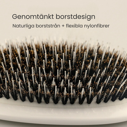 Allora Shine Brush