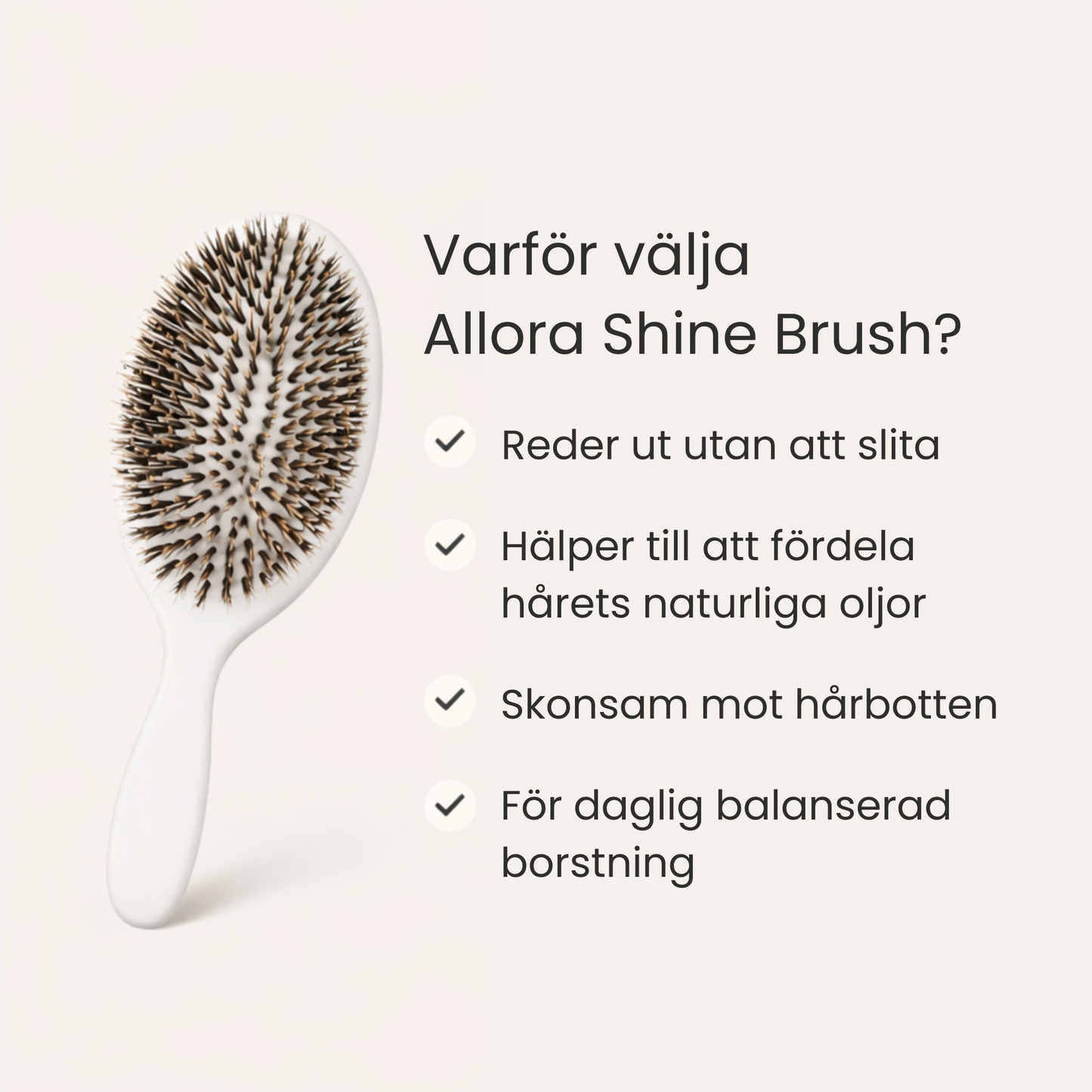 Allora Shine Brush